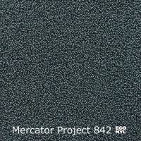 Mercator Project-Econyl 842